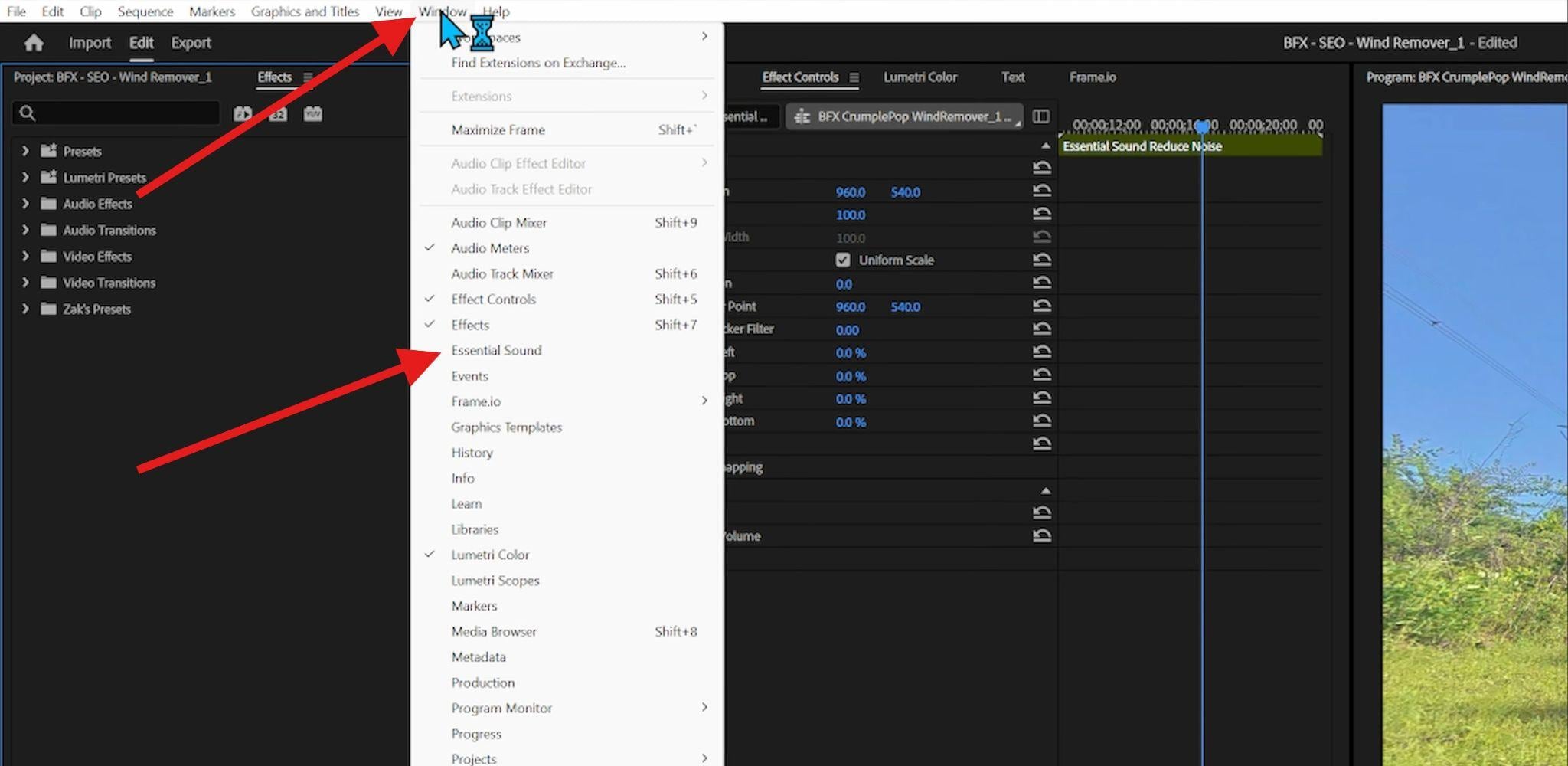 activate essential sound panel premiere pro