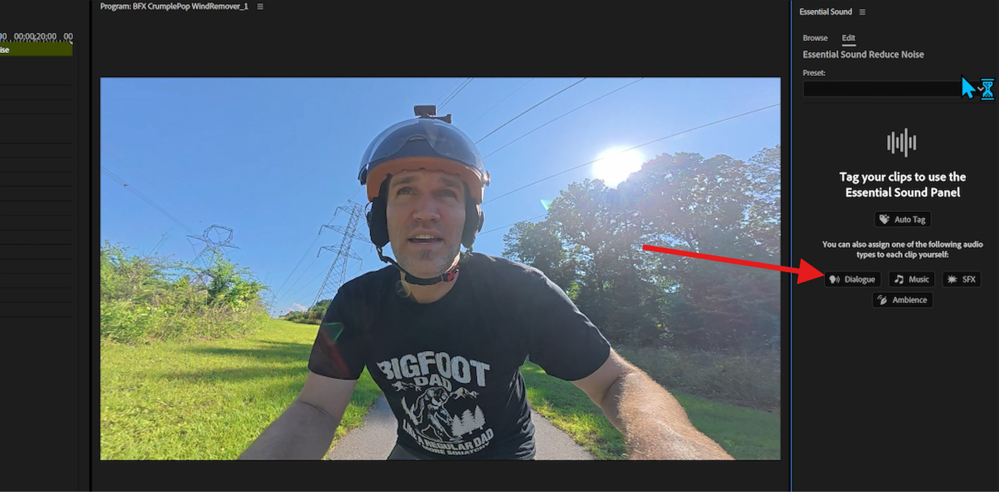 assign tag to audio premiere pro