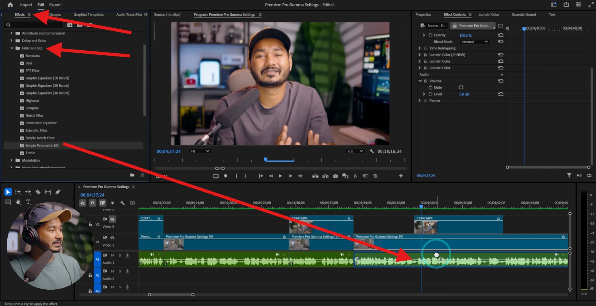 use simple parametric eq effect premiere