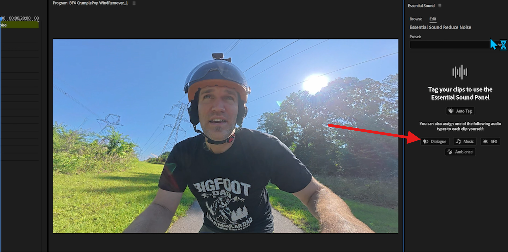 define sound type in premiere pro