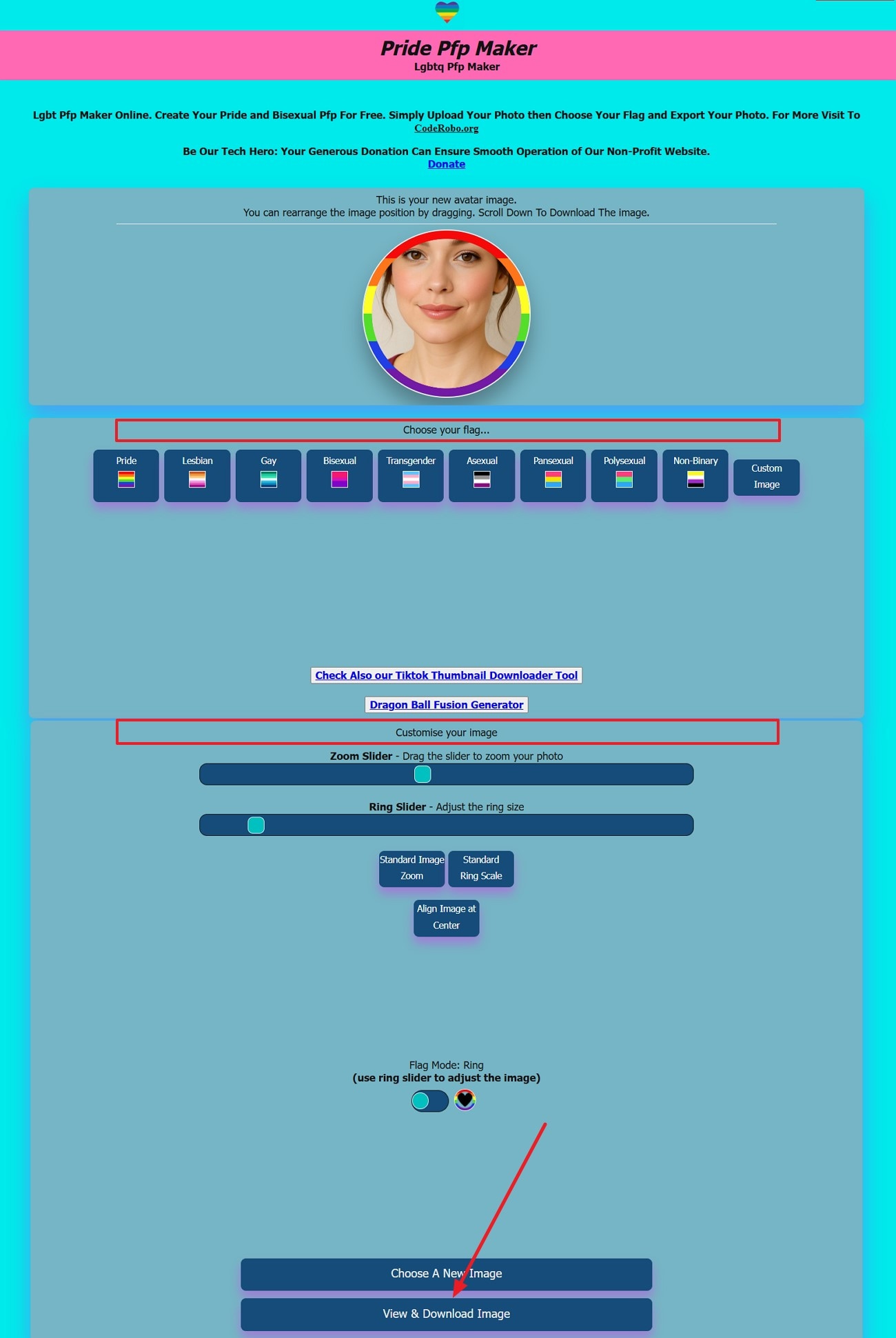 view and download pfp generated