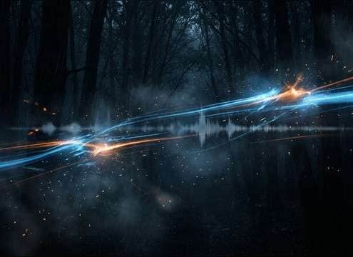 Forest SFX for motion graphics