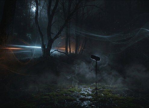 Dark forest ambience