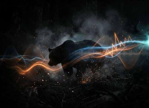 Bear attack and alert sound effects for wilderness games