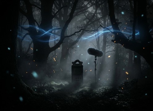 Forest ambience for sleep videos