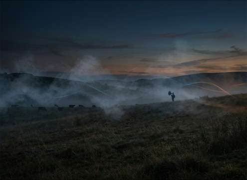 Distant cow sound layered into a nature documentary pasture shot