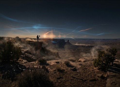 Distant donkey call in an open desert scene