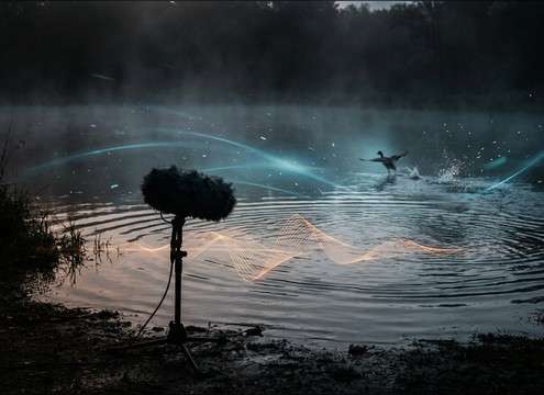 Duck pond establishing shot sound design with distant quacks