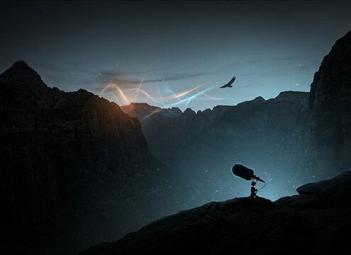 Distant eagle sound effects for national park film establishing shots