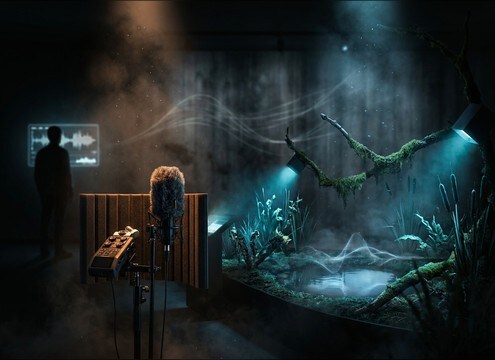 Loopable wetland frog ambience for a museum exhibit