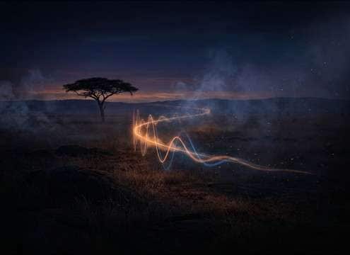 Distant giraffe call for audiobook transition