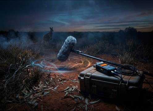 Kangaroo hop sound for wildlife documentary edit