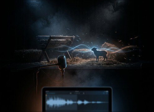 Lamb bleat sound effect for a nativity play scene