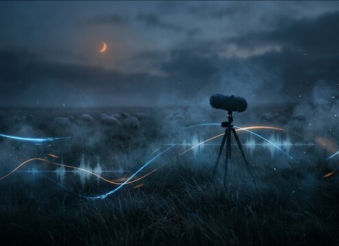 Pasture ambience with lamb bleats for an establishing shot