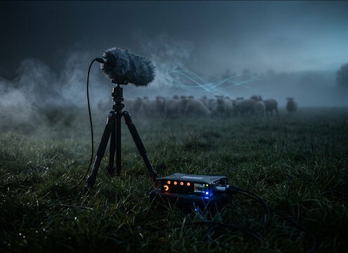 Documentary edit using distant lamb bleat sound effect
