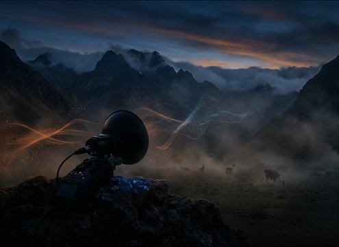 Travel montage with distant llama calls in open air