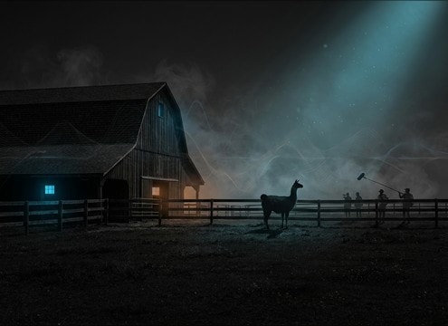 Ambient ranch sound bed under an establishing shot
