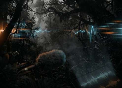 Distant monkey calls used under a jungle establishing shot