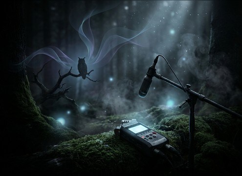 Calm owl calls in a relaxing night soundscape