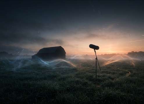 Dawn farm ambience with rooster crows under an audio drama scene