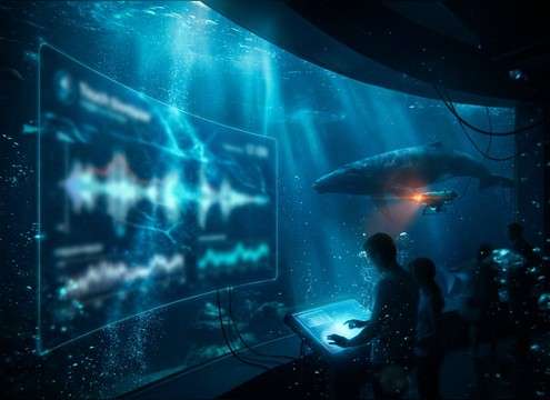 Shark ambience for aquarium interactives