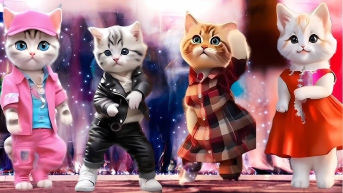 cat-dance-trendy-videos