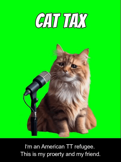 Meme-Cat tax 2