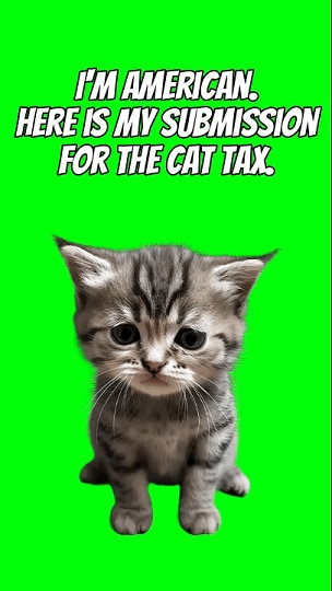 Meme-Cat tax