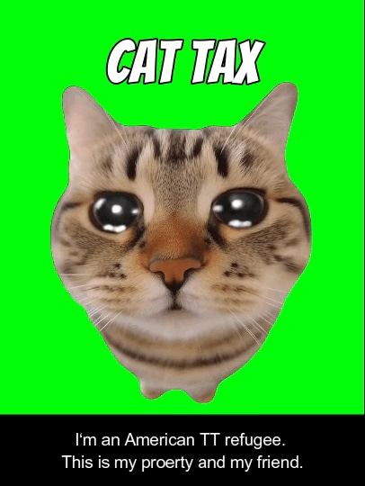 Meme-Cat tax 3