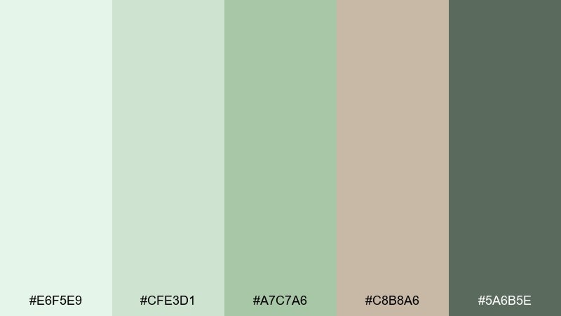 aloe clay color palette with hex codes