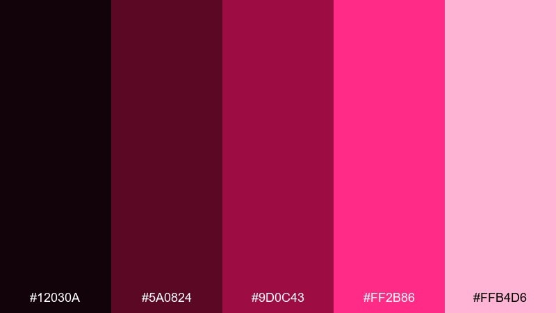 cabernet disco color palette with hex codes