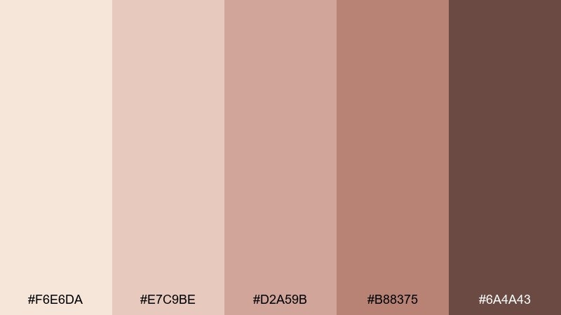 desert blush color palette with hex codes