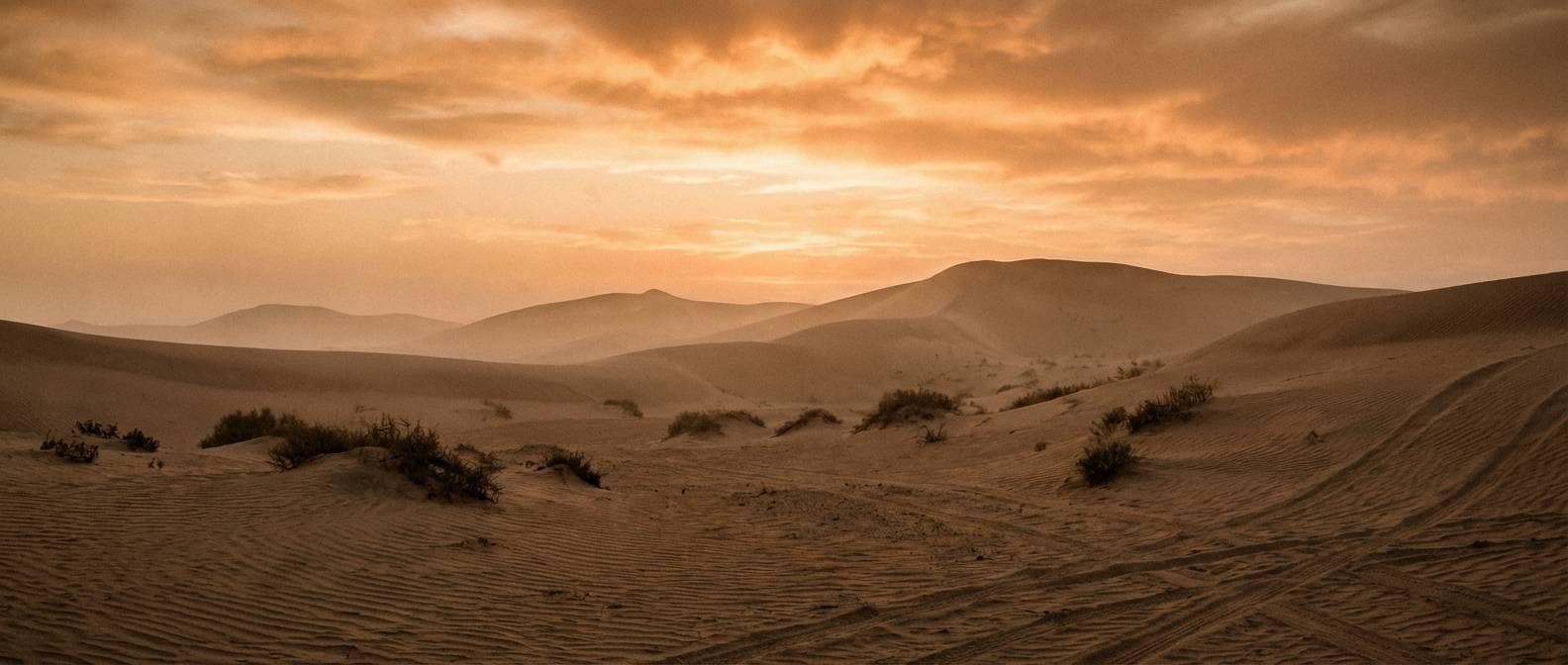 desert banner in warm tones