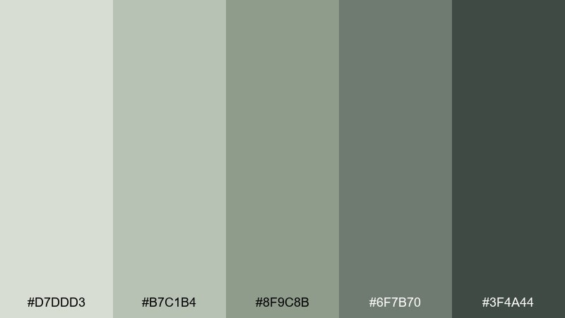 foggy sage morning color palette with hex codes