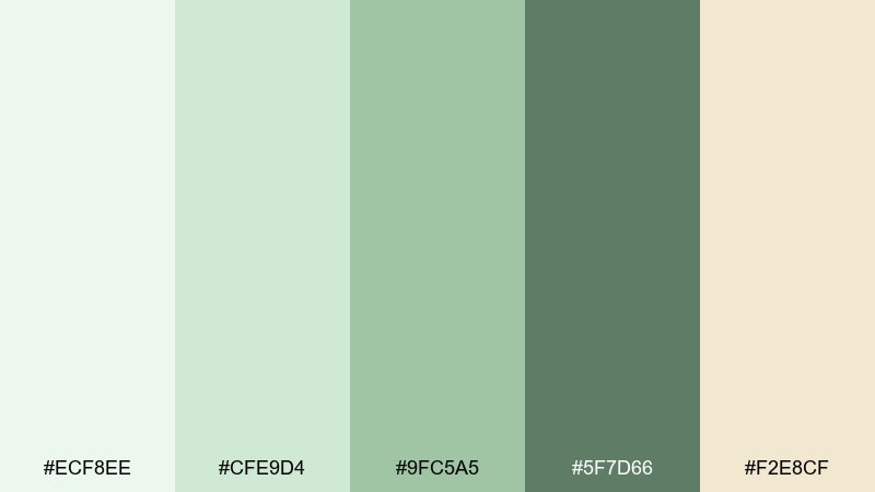 matcha paper color palette with hex codes