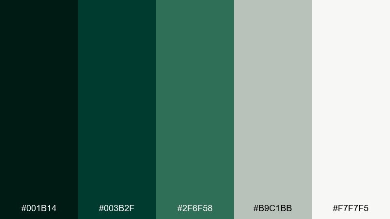 midnight pit lane color palette with hex codes