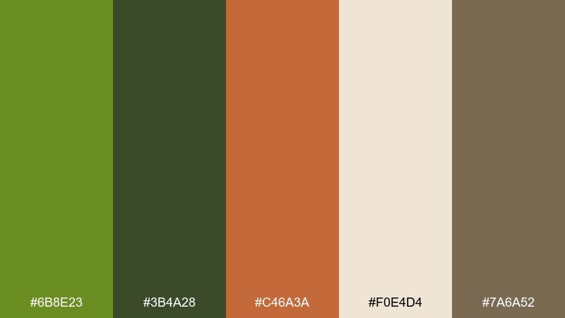 olive + terracotta color palette with hex codes