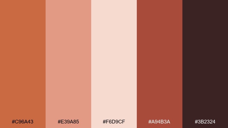 terracotta rose color palette with hex codes