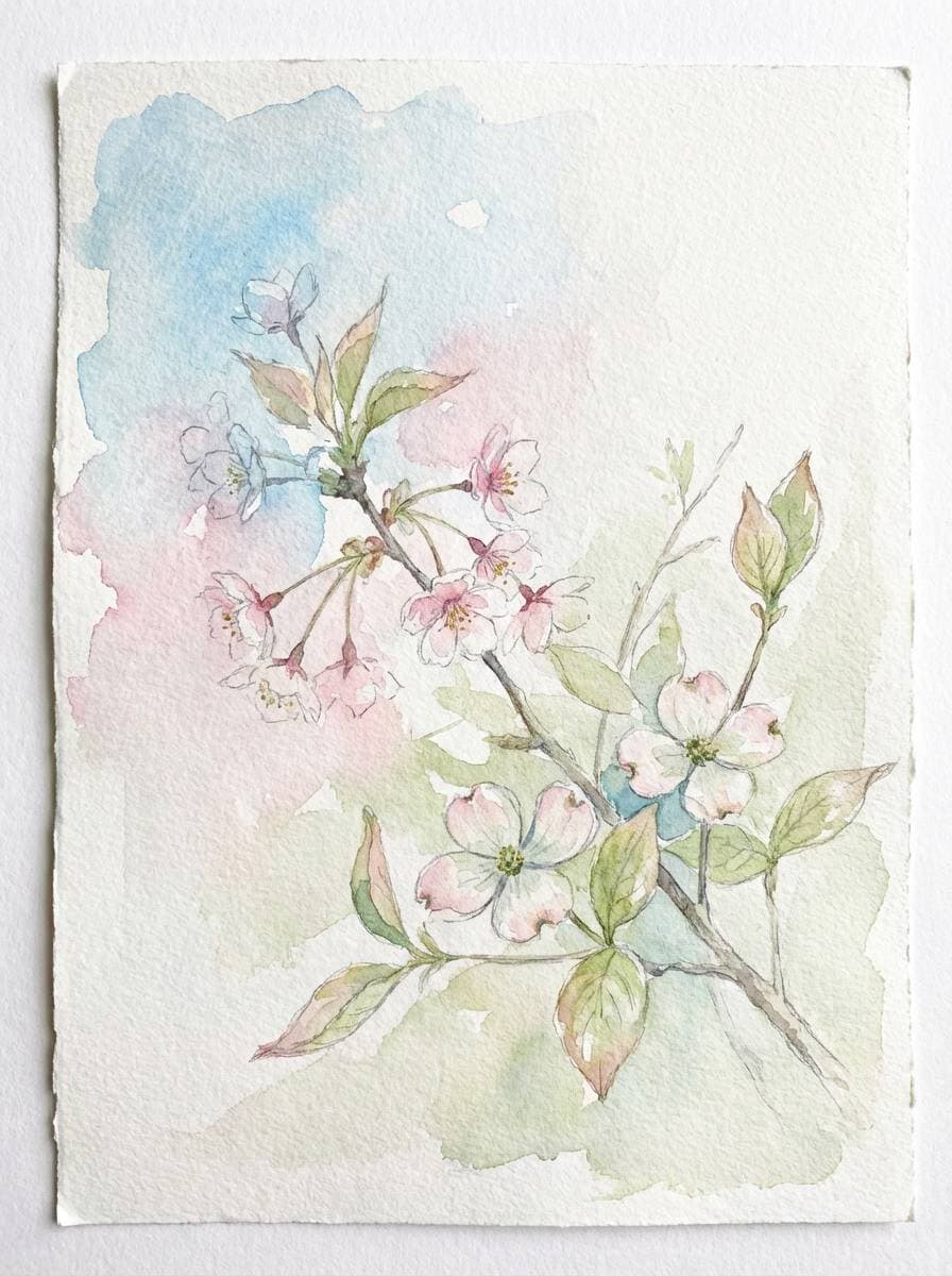 watercolor spring blossoms