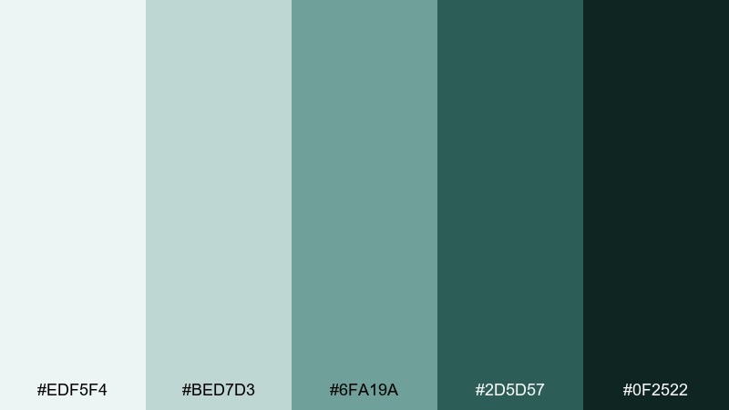 winter spruce color palette with hex codes