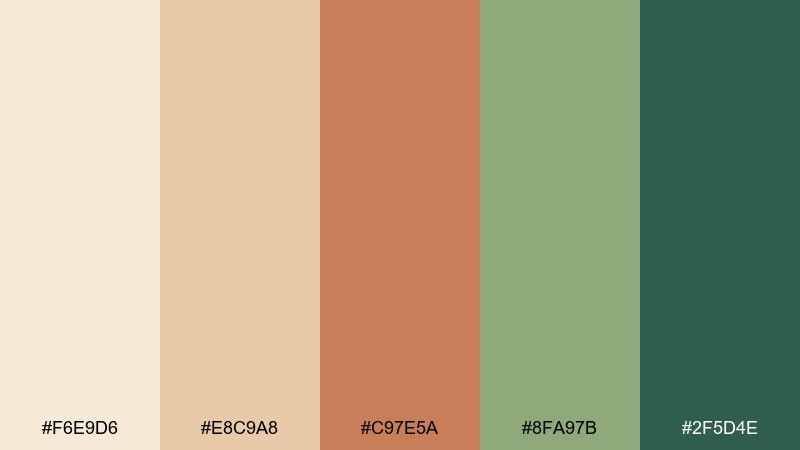 adobe and aloe desert oasis color palette with hex codes