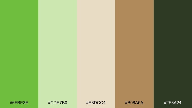 bamboo and sand mantis color palette with hex codes