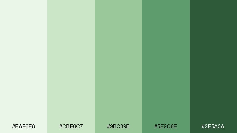 bamboo spa spa color palette with hex codes