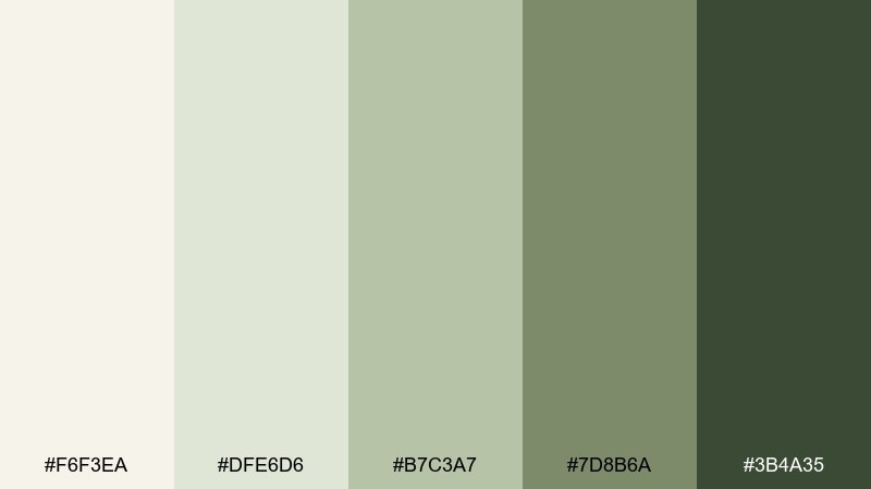 bamboo steam zen color palette with hex codes