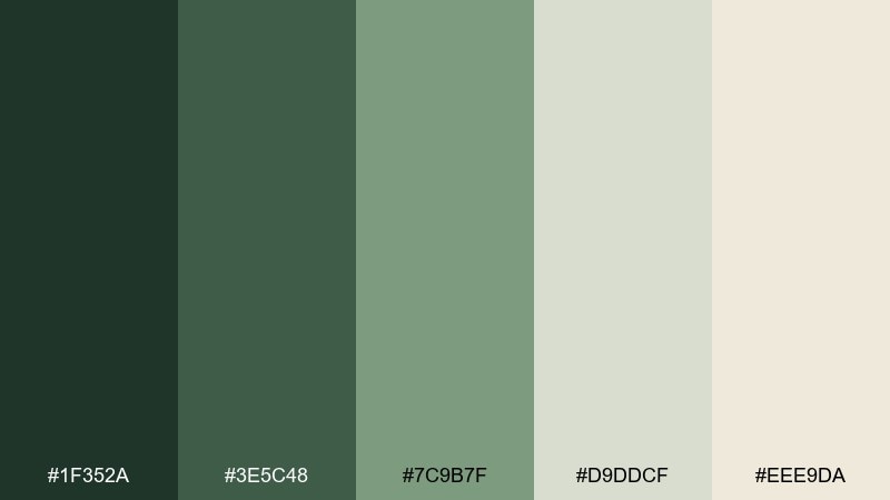 birch hollow forest color palette with hex codes
