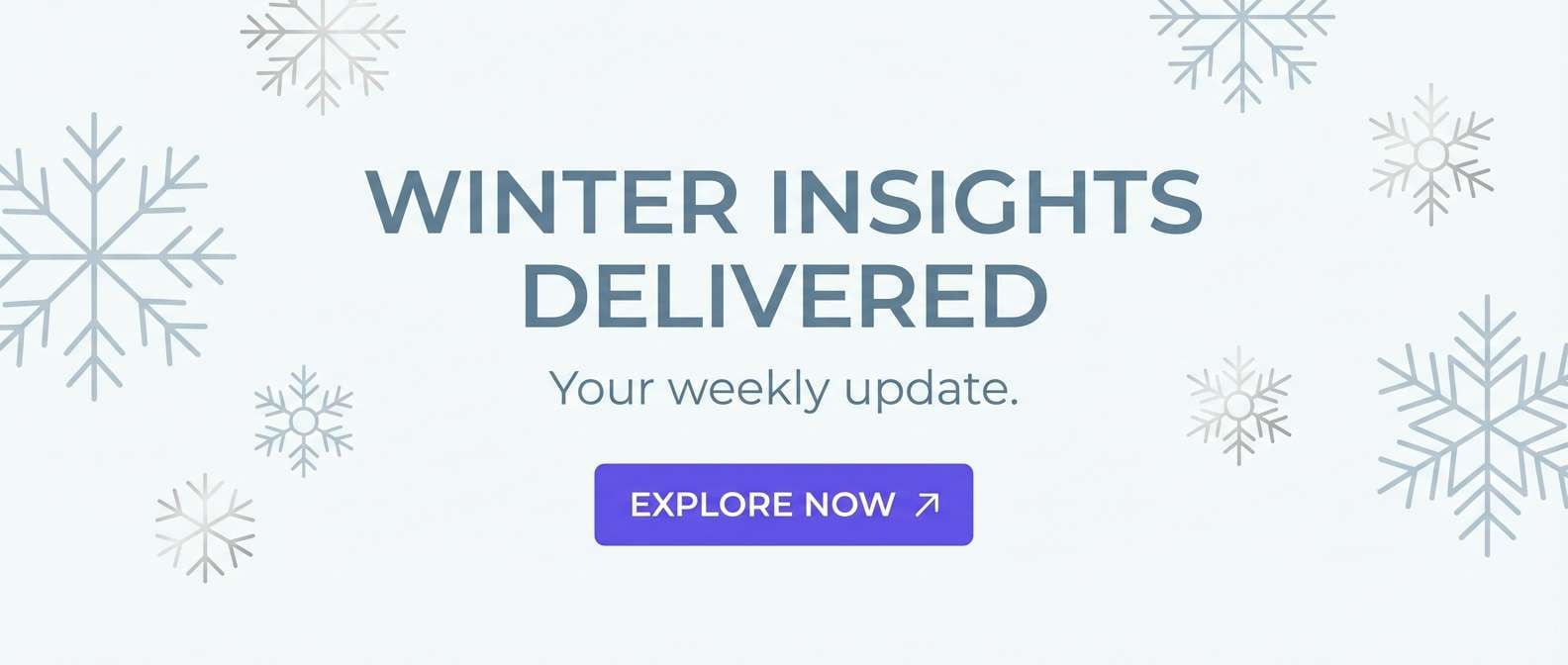 winter email header design