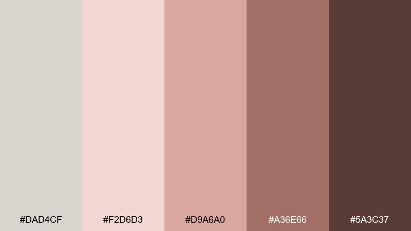blush sandstone timberwolf color palette with hex codes