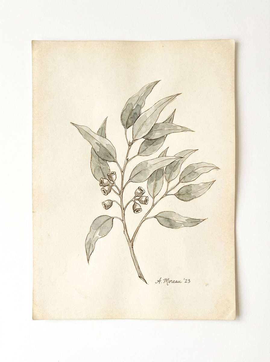 botanical ink art