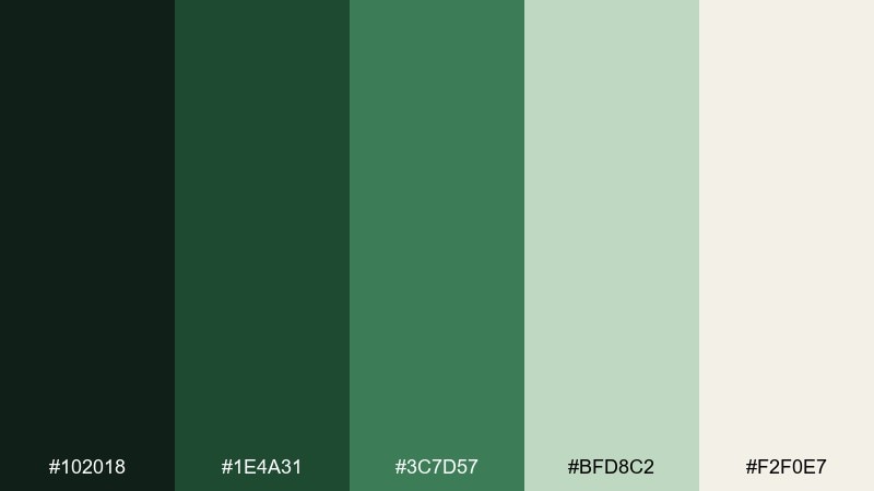 canopy contrast forest color palette with hex codes