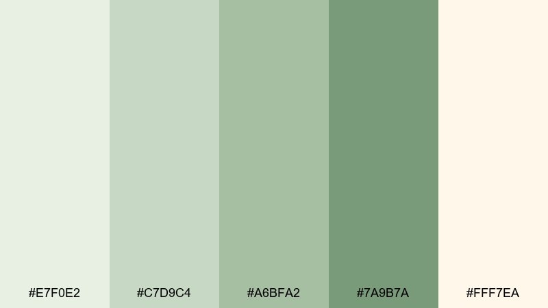 celadon cream pale green color palette with hex codes